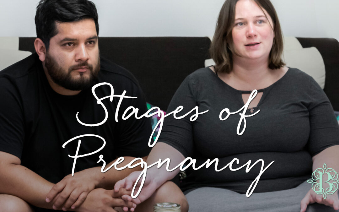 Stages of Pregnancy