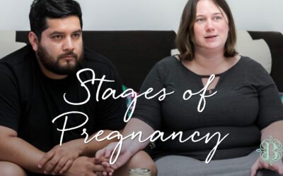 Stages of Pregnancy